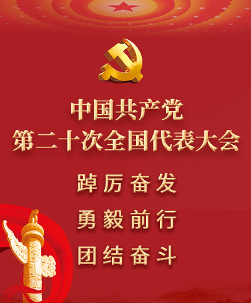 二十次全國代表大會 二十次全國代表大會